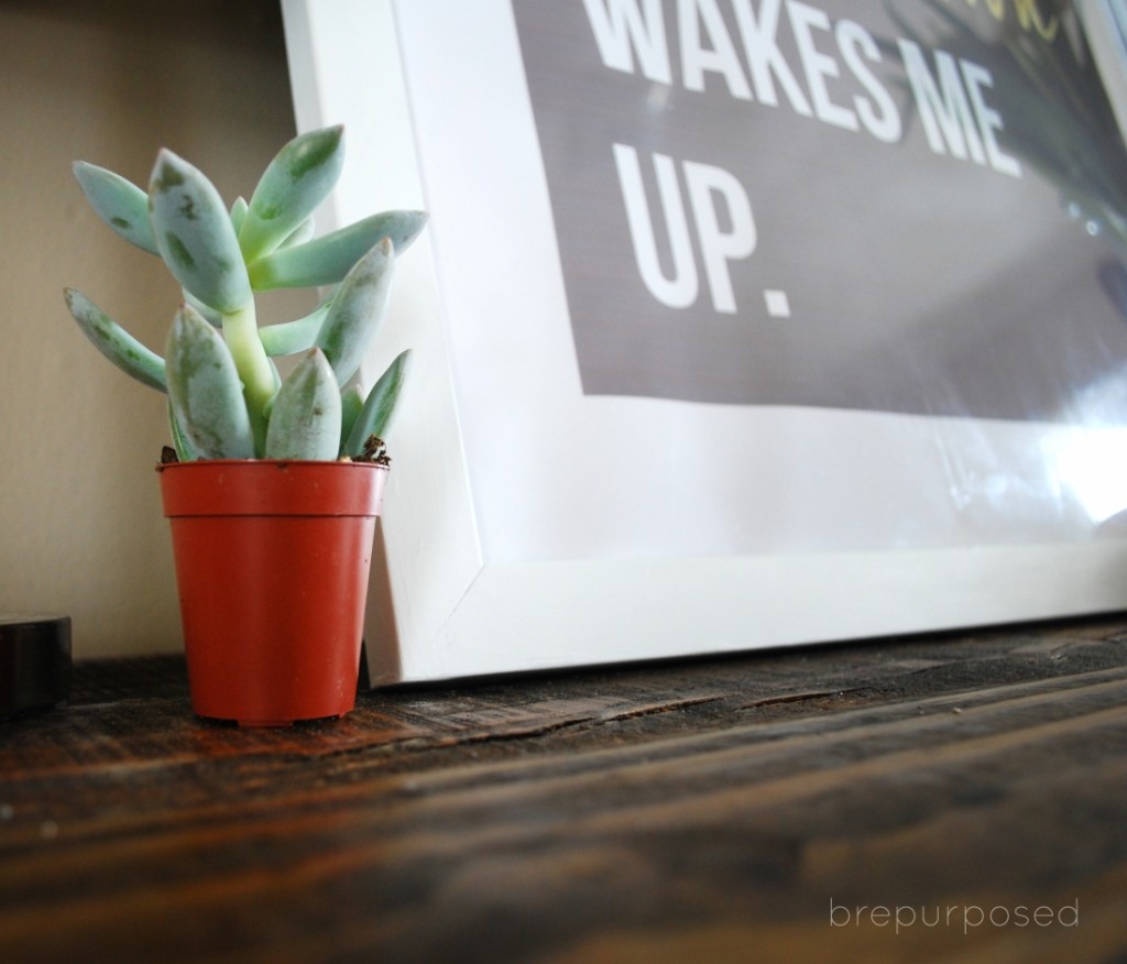 Pallet Board Topped Dresser