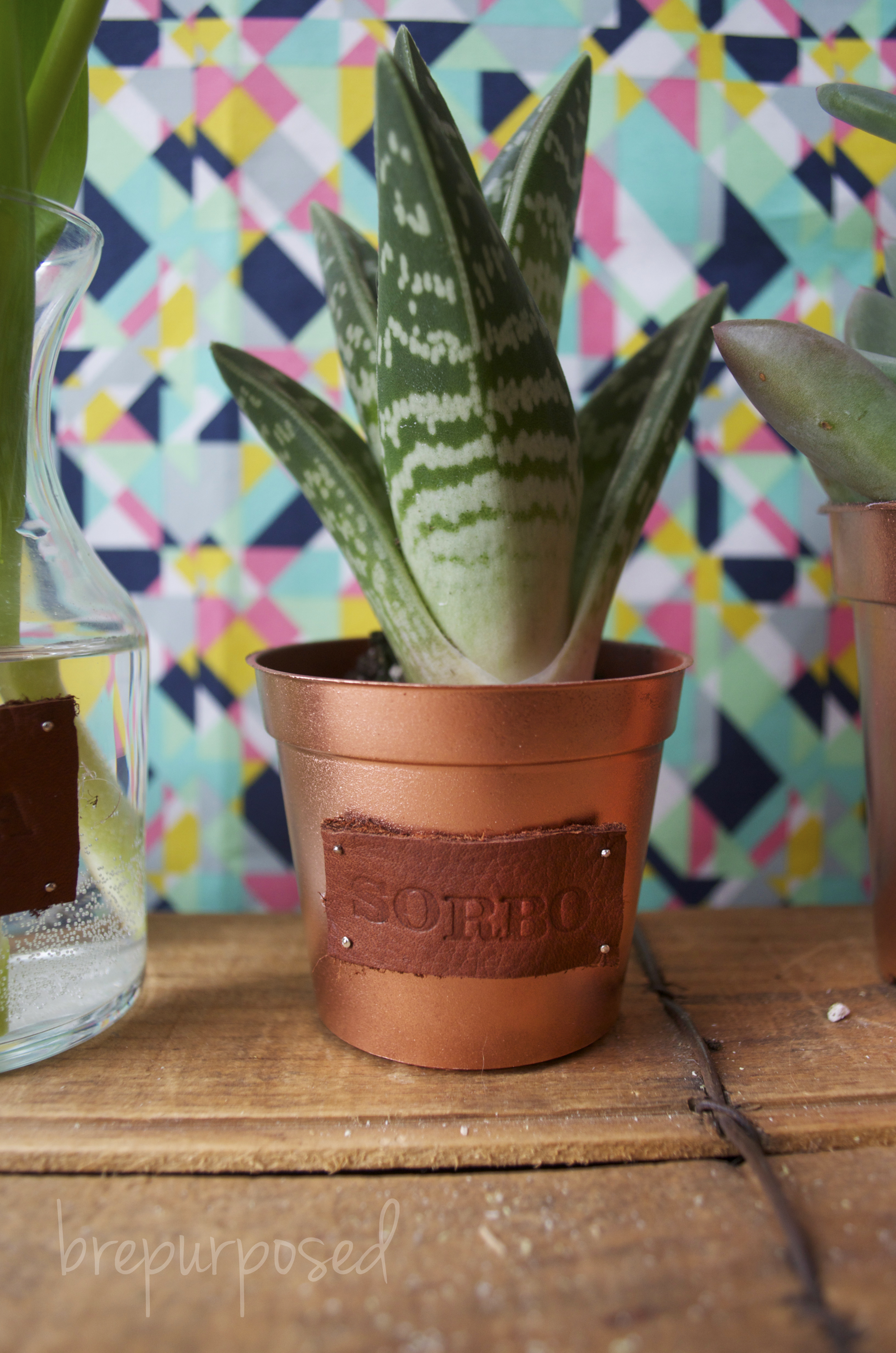 Leather Stamp Tag on Plant