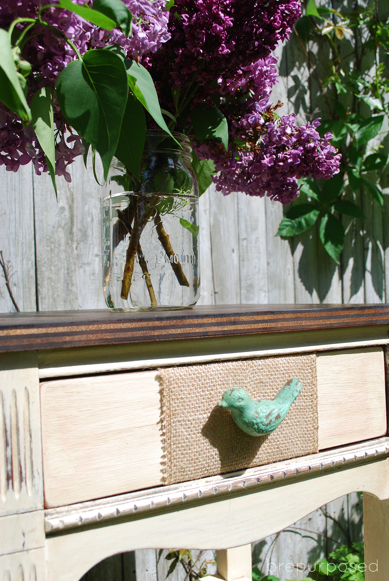 closeup of bird drawer pull