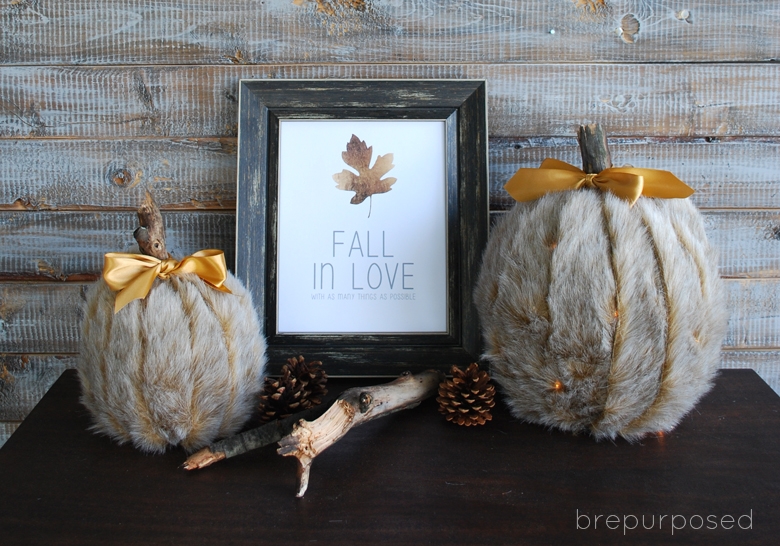 DIY Faux Fur Covered Pumpkins