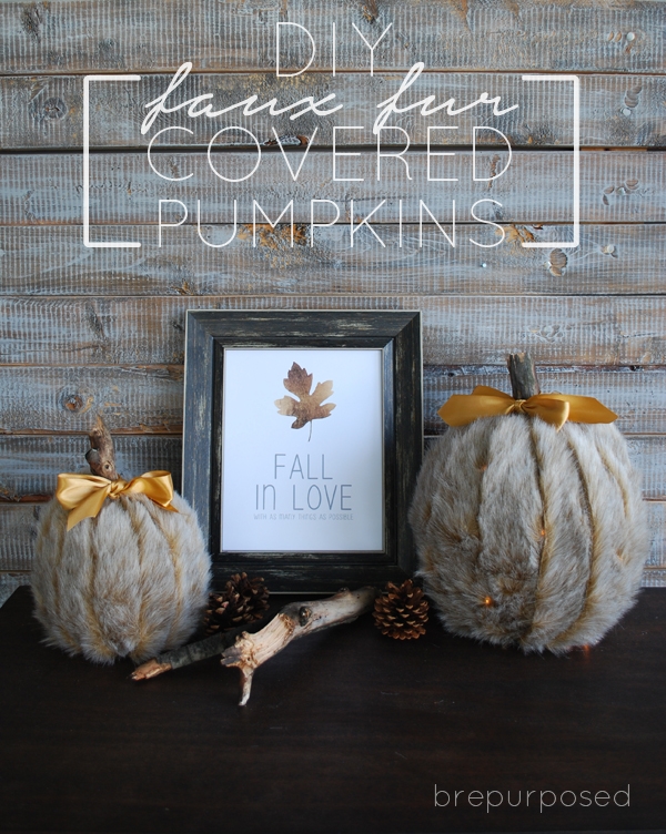 DIY Faux Fur Covered Pumpkins