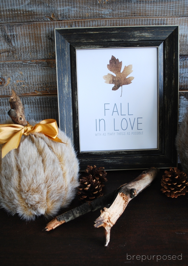 DIY Faux Fur Covered Pumpkins