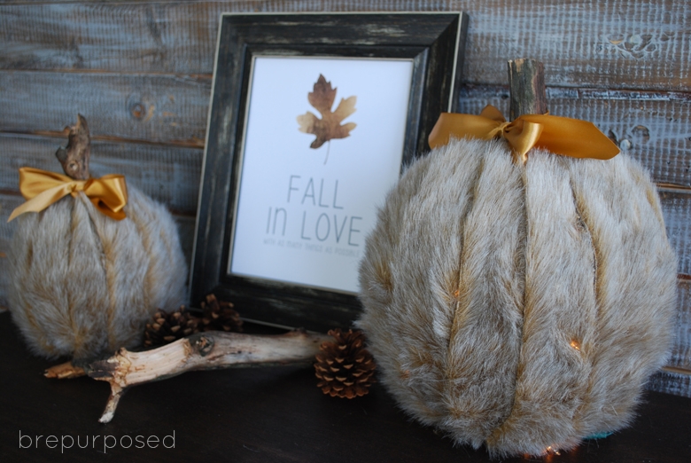 DIY Faux Fur Covered Pumpkins