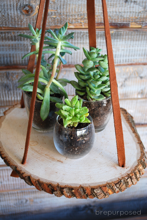 Hanging Plant Stand