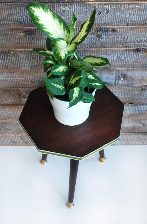 DIY MCM Plant Stand