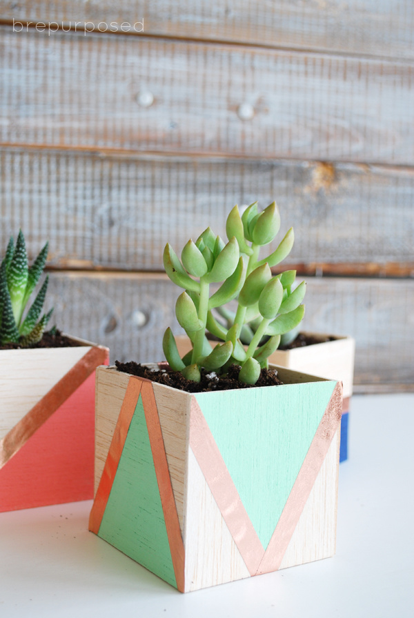 Succulent Planters