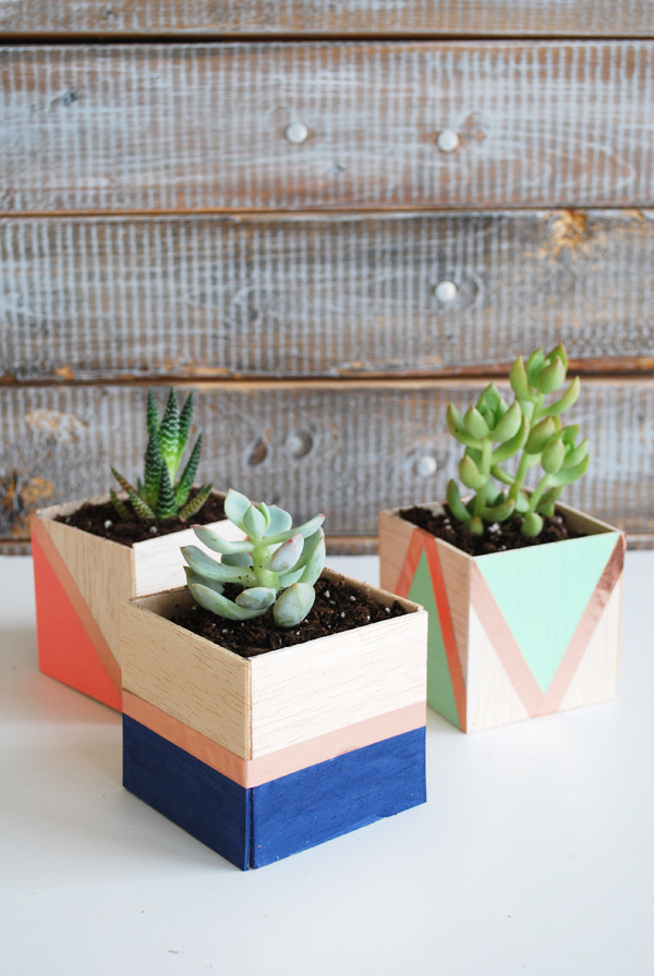 DIY Balsa Wood Planters