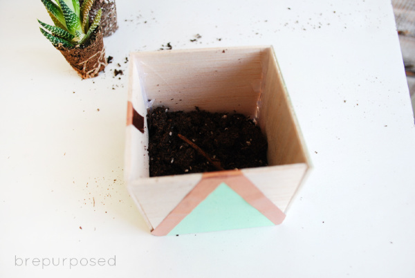 DIY Balsa Wood Planter