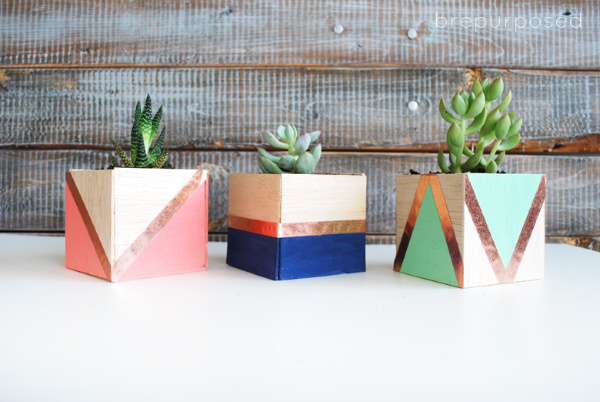 Colorful DIY Balsa Wood Planters