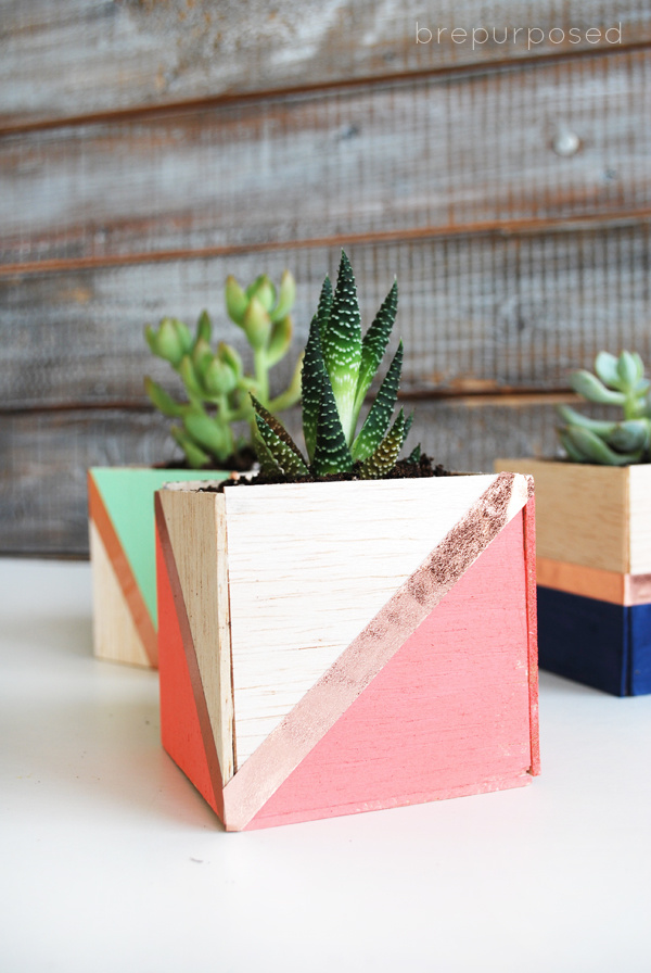 Balsa Wood Planter DIY