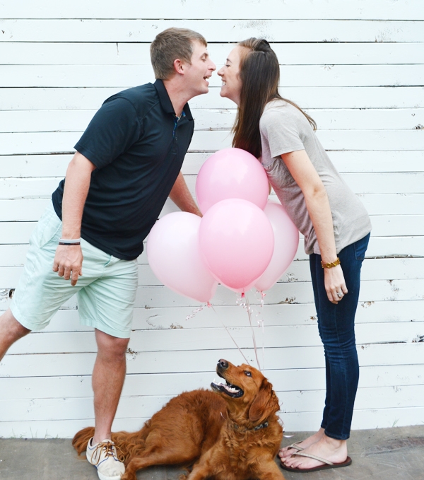 Gender Reveal with your Pet!