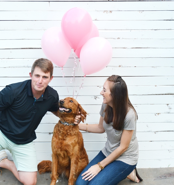 Gender Reveal with your Pet!