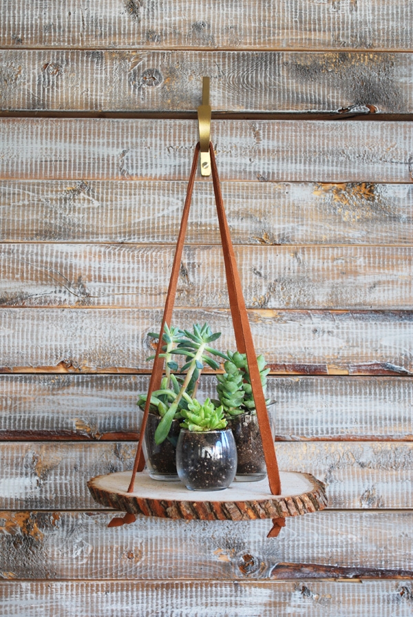 DIY Hanging Wood Slice Plant Stand