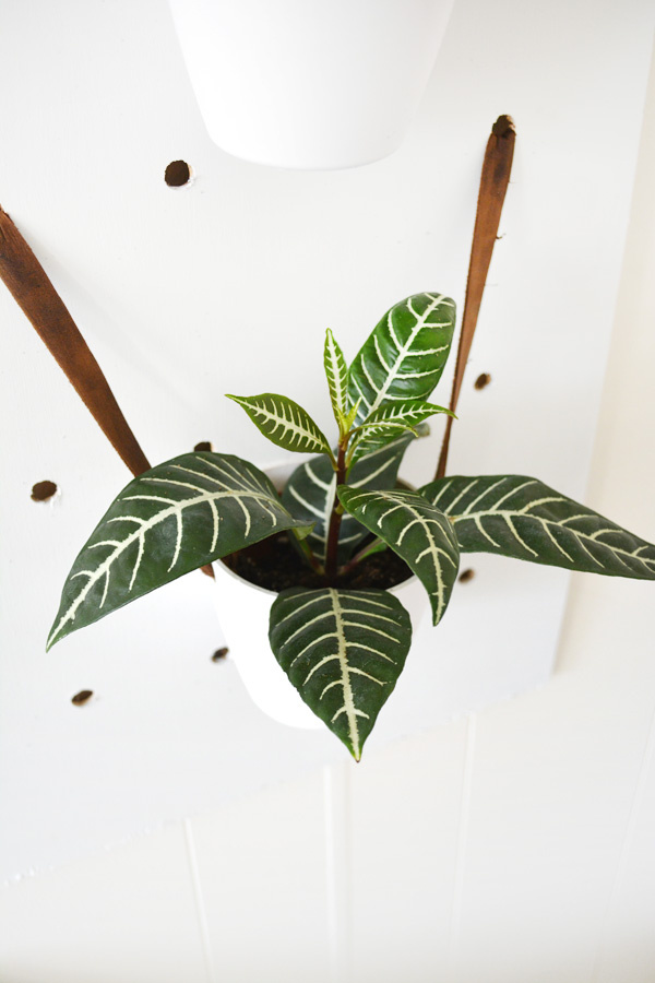 Pegboard Plant Hanger