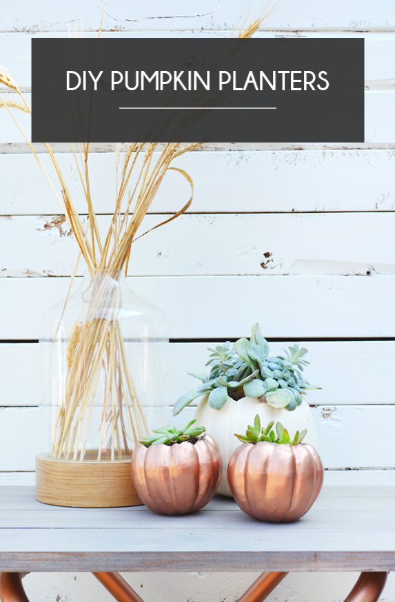 DIY Pumpkin Planters - BREPURPOSED