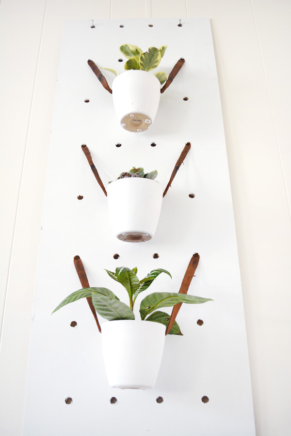 Modern Pegboard Planter