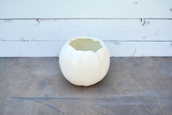 Plastic pumpkin turned into a planter for succulents