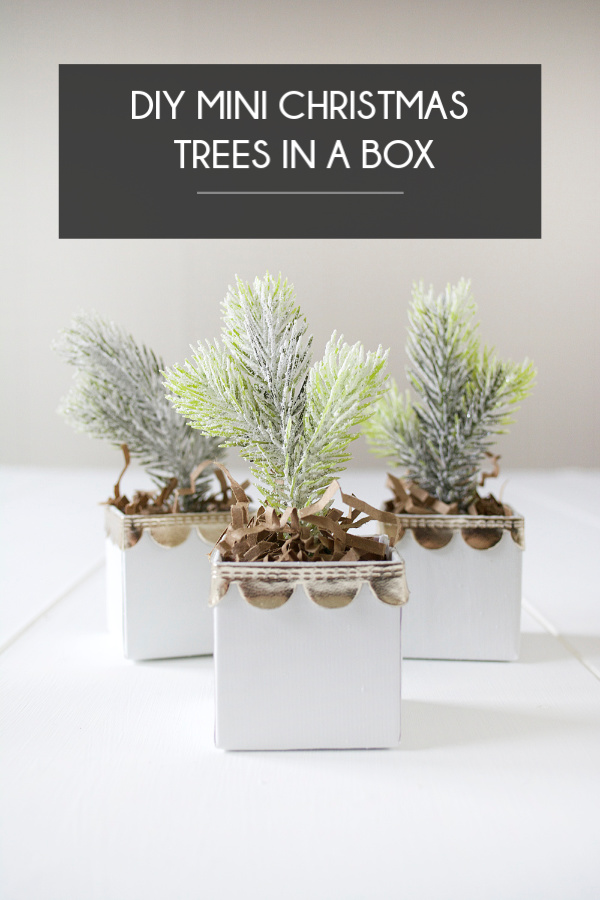 DIY Mini Christmas Trees In A Box