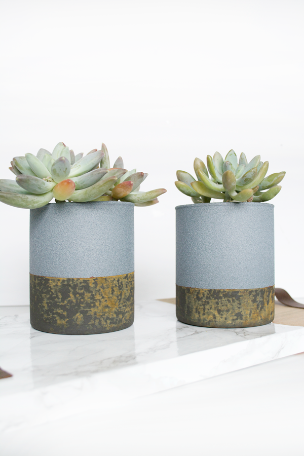 Faux DIY Concrete Planters With Spray Paint - Bless'er House