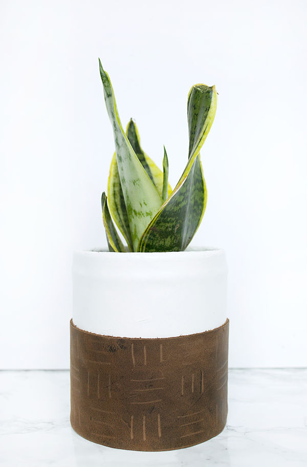 Leather and Clay Plant Pot