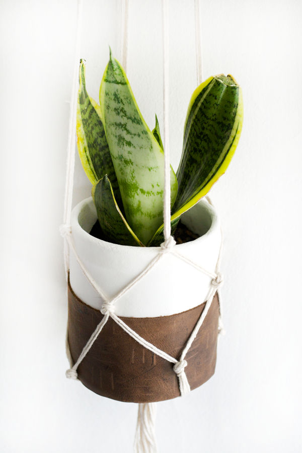 DIY Clay and Leather Plant Pot with Macrame Hanger