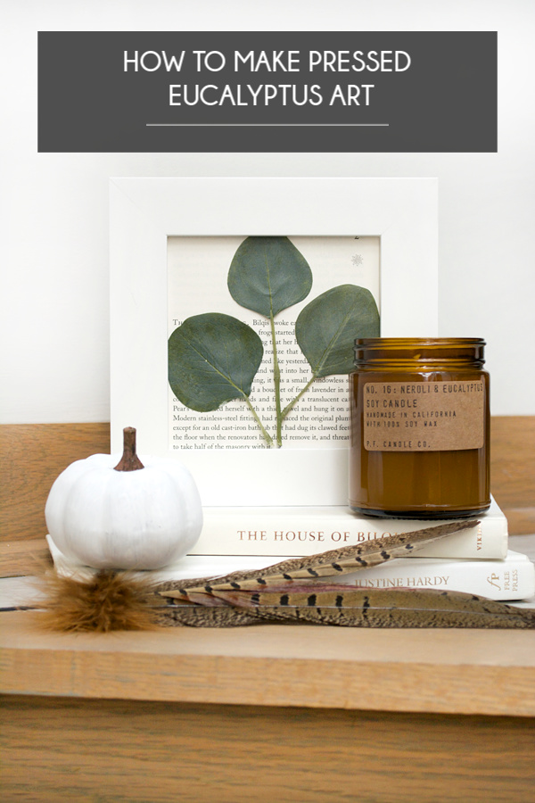 How To Make Pressed Eucalyptus Art