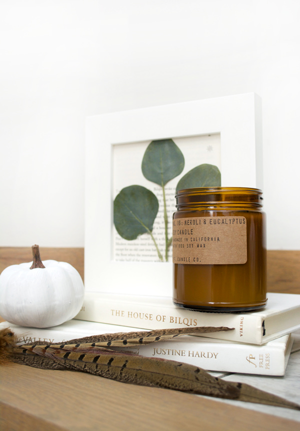 DIY Eucalyptus Art