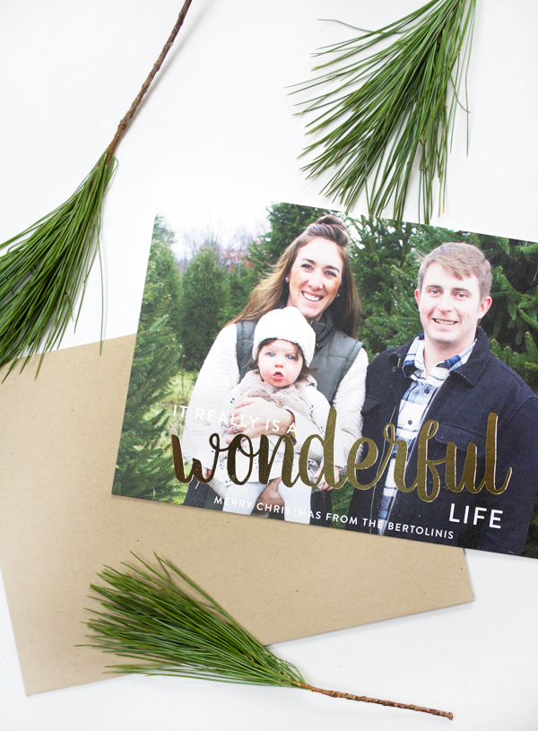 Christmas Cards from Minted