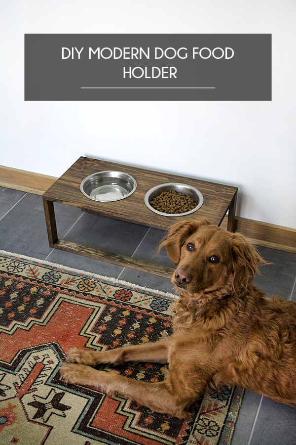 DIY Modern Dog Food Holder