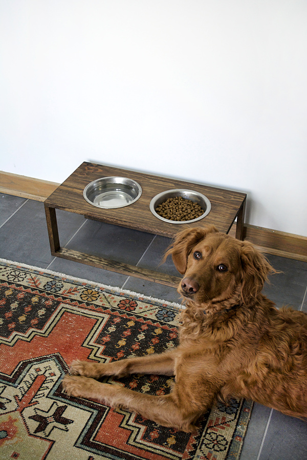 DIY Modern Dog Food Holder - BREPURPOSED