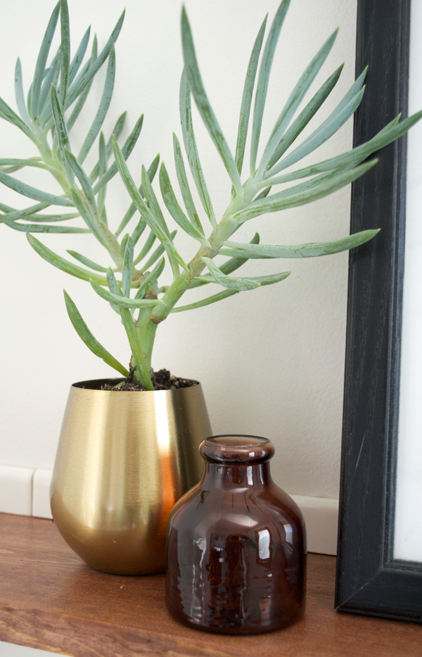 brass cup planter in a bathroom