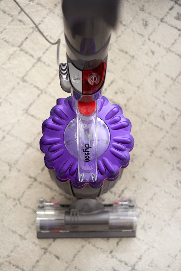 Dyson, vacuum, pet hair, spring cleaning