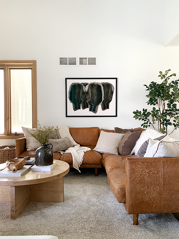 Modern Casual Living Room