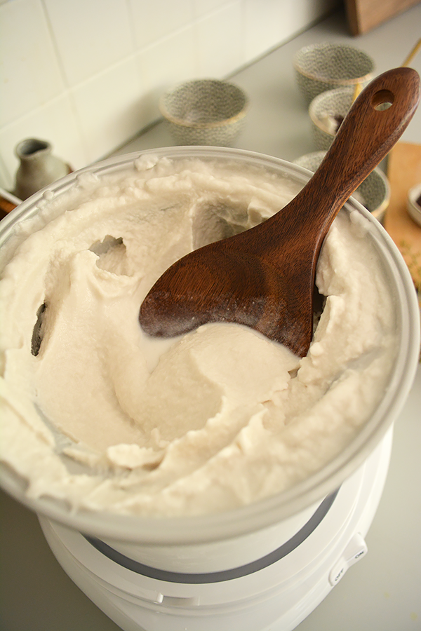 Coconut Milk Ice Cream Recipe