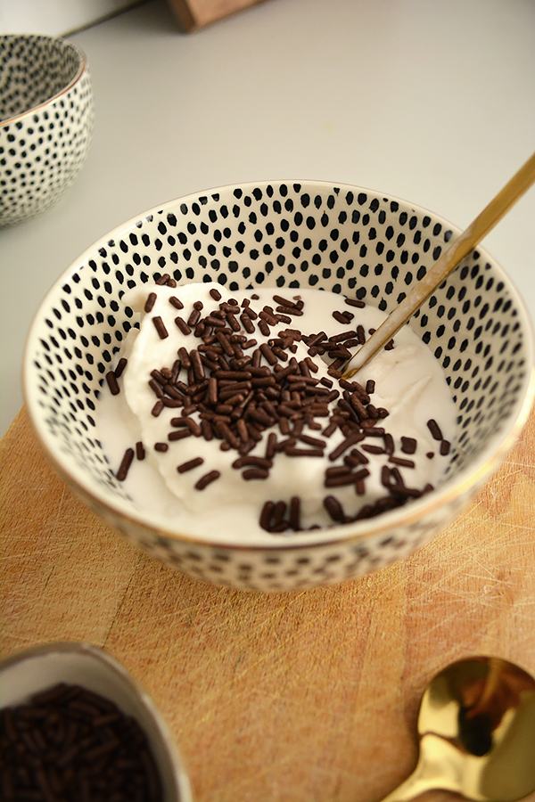 How to Make Coconut Milk Ice Cream