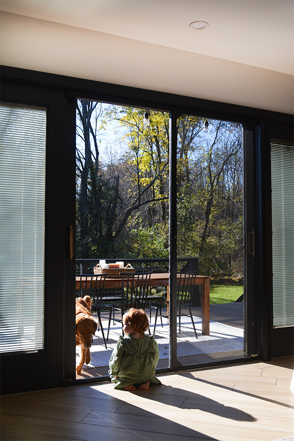 Pocket Screen Doors