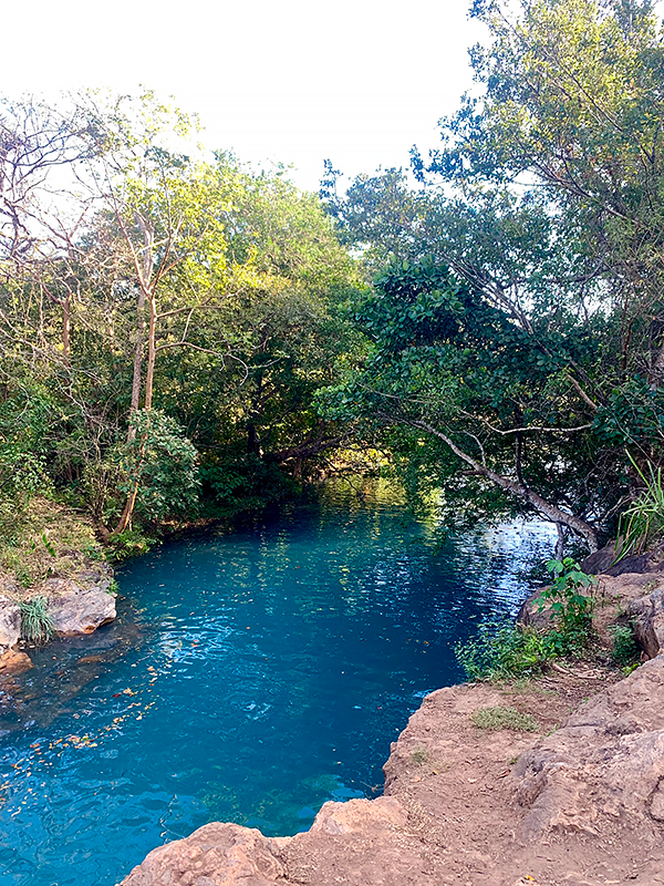 poza los cayotes costa rica