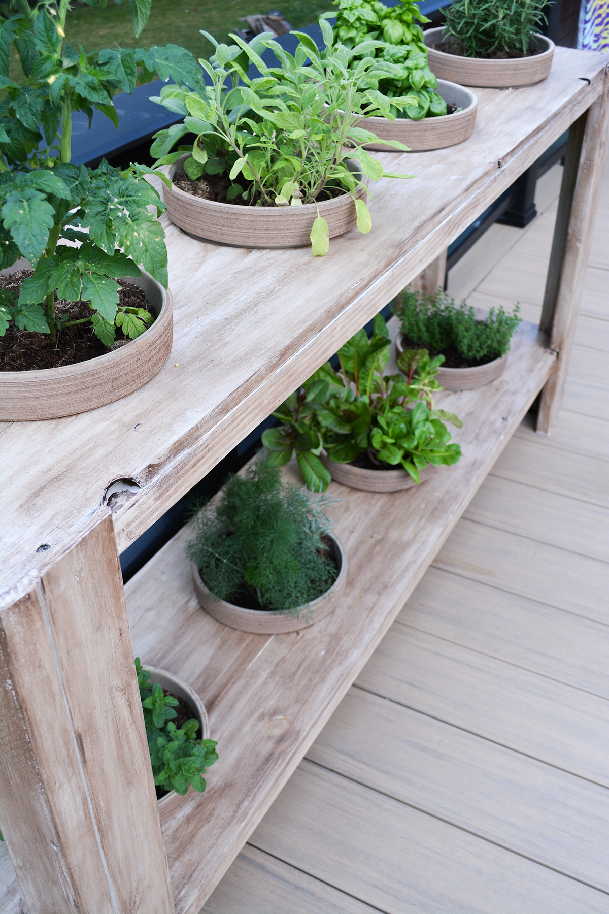 Herb Planter DIY