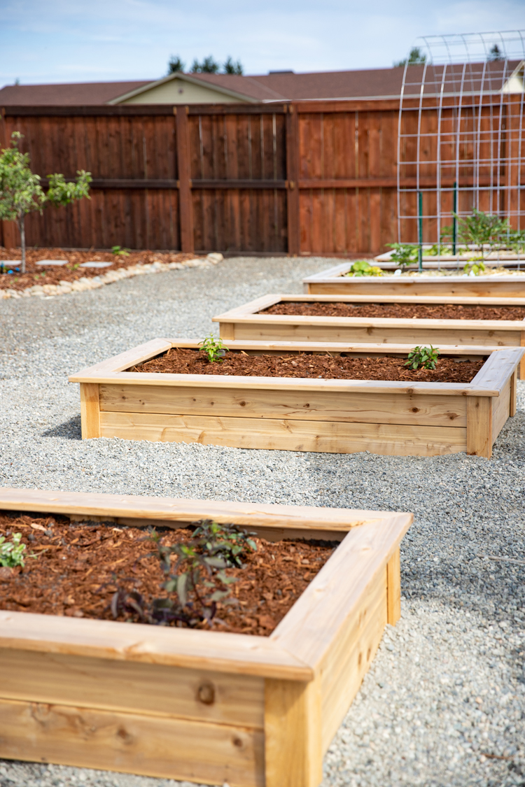 How to Plan for a Raised Garden Bed - BREPURPOSED
