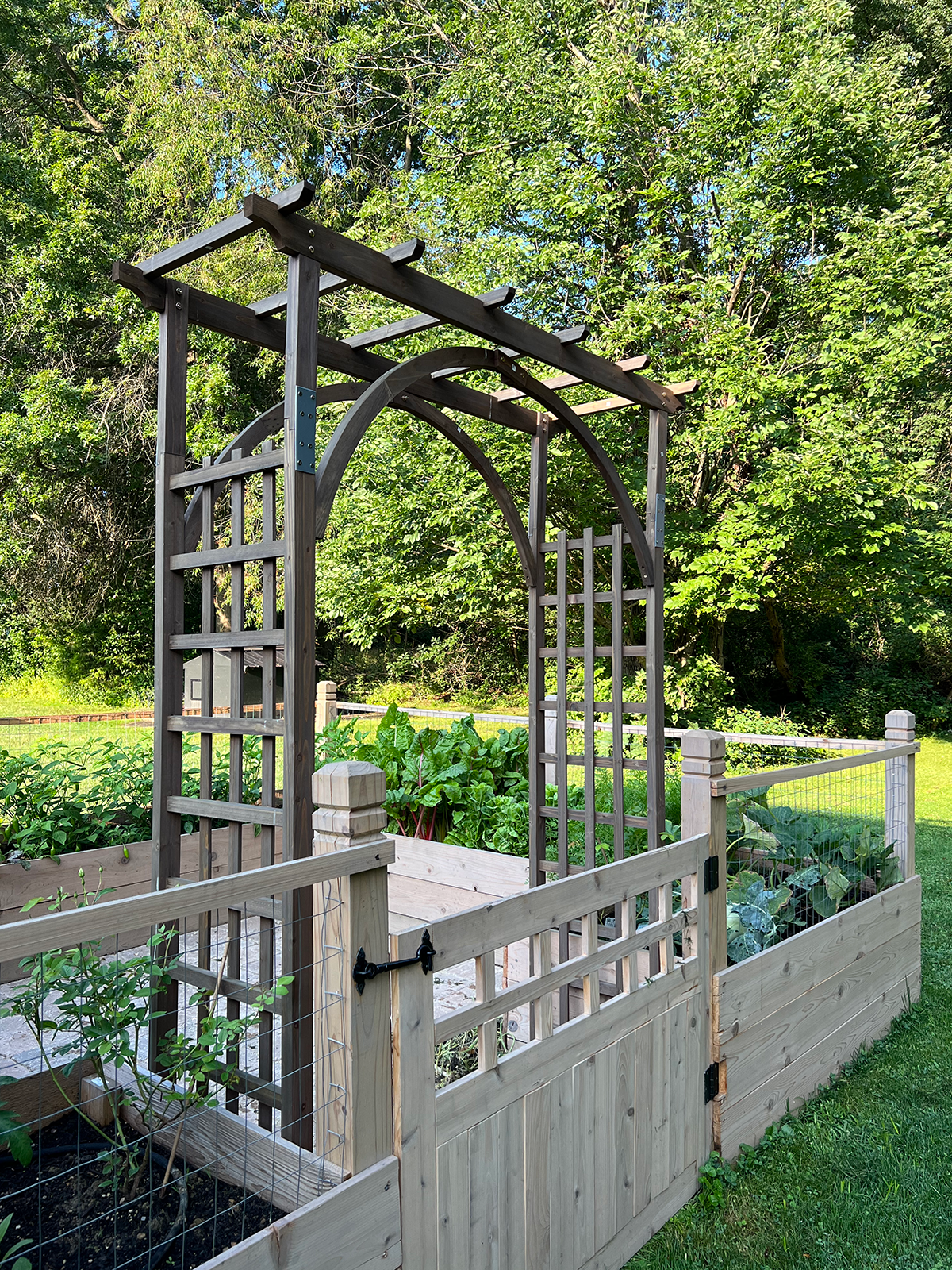 Arched Garden Trellis