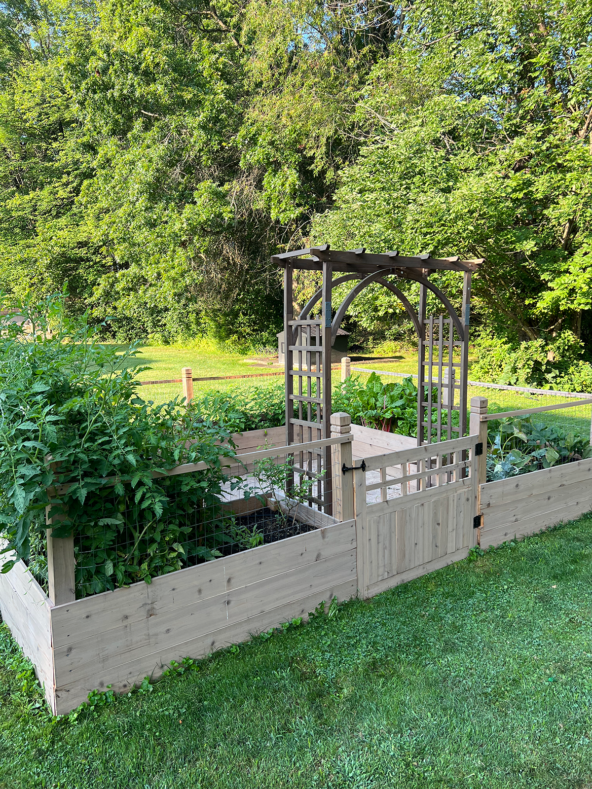 Arched Trellis in Garden