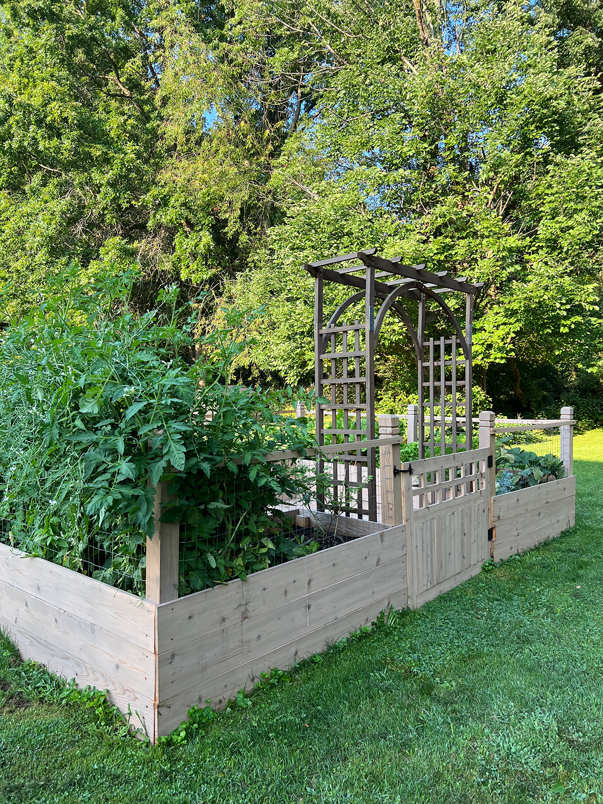 Building Raised Garden Beds