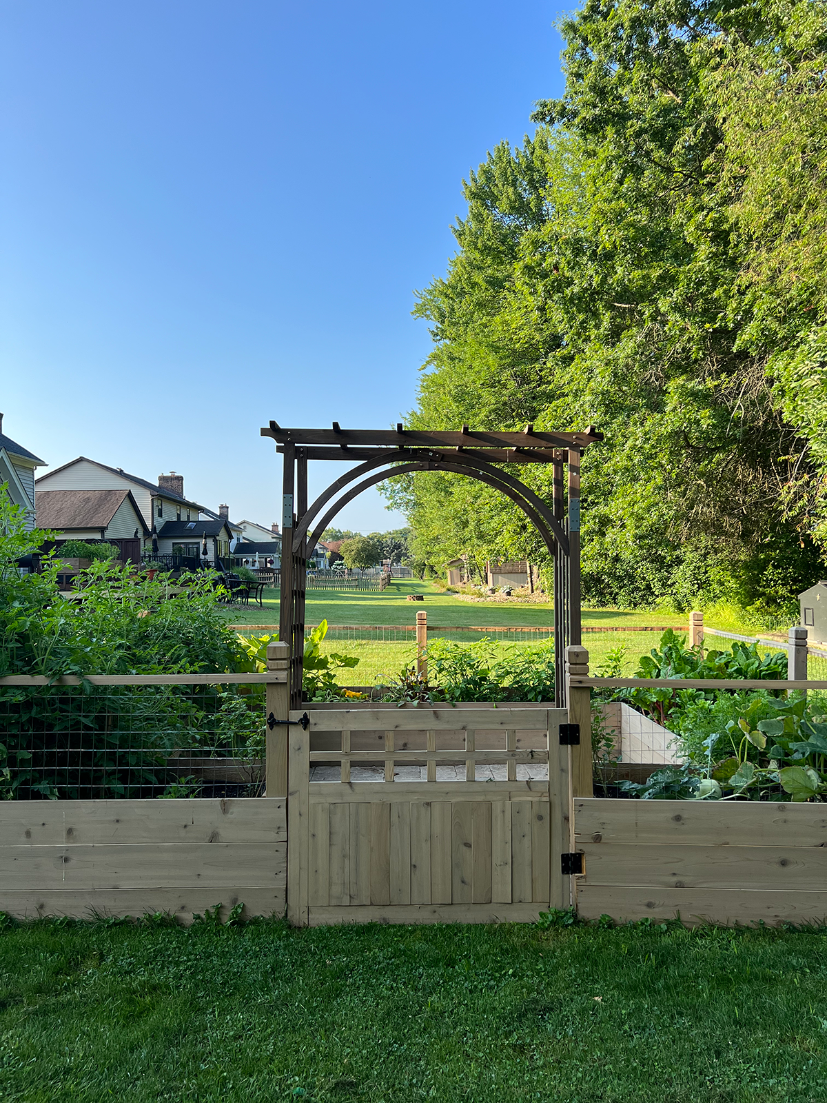 Garden with Arbor